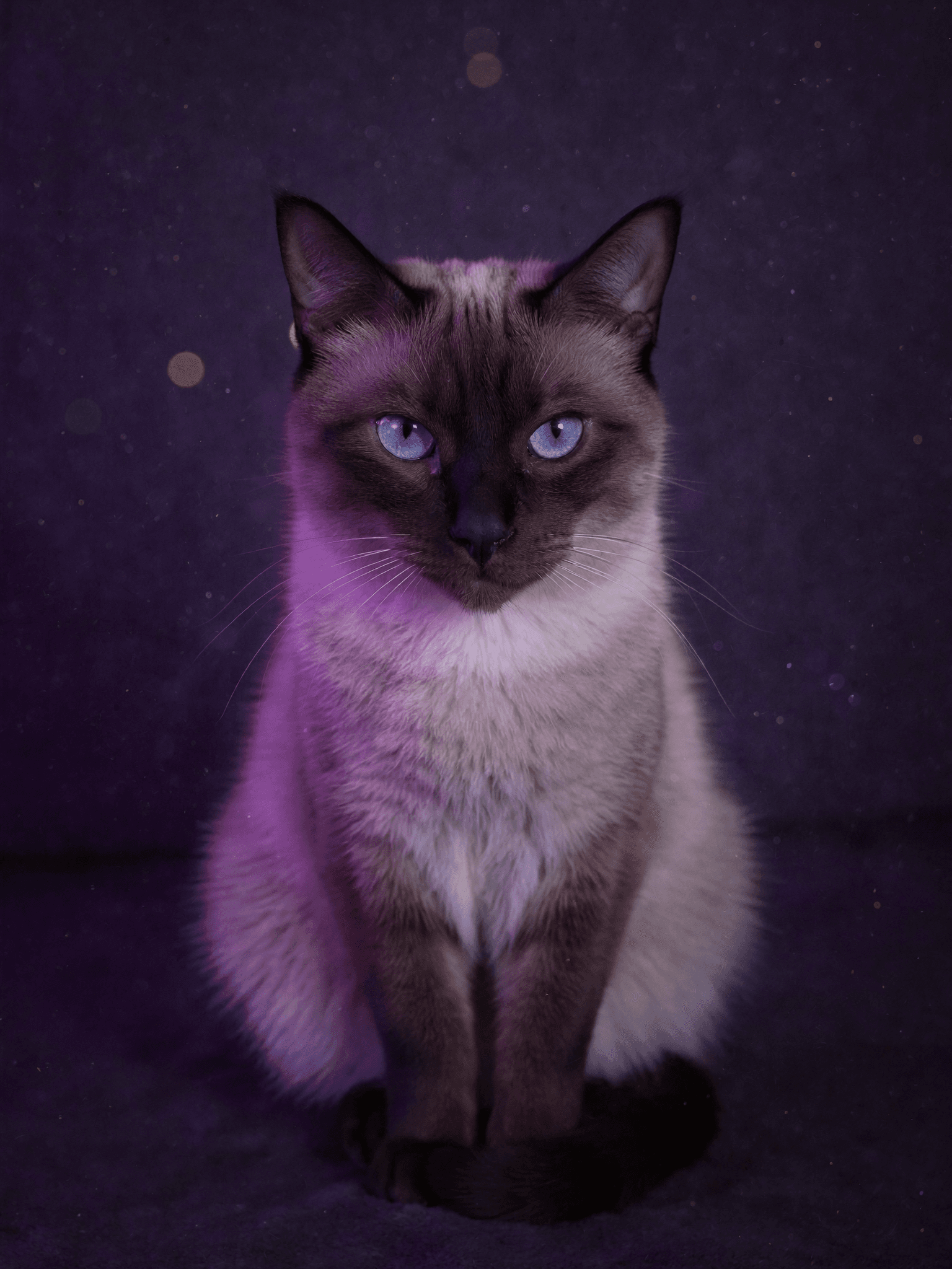 Gina